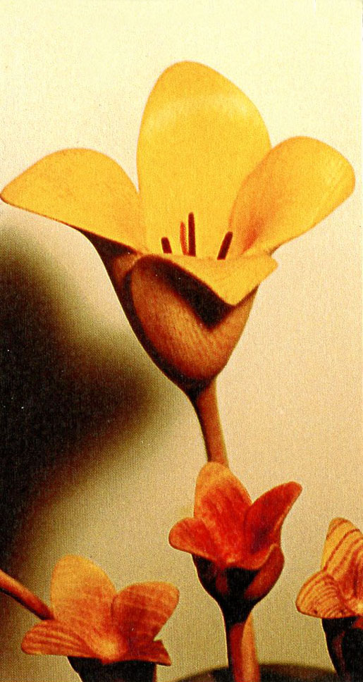 wood carving and sketching